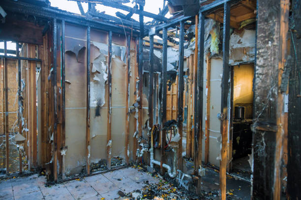 Professional Fire Damage Repair technician working in Ludowici, GA